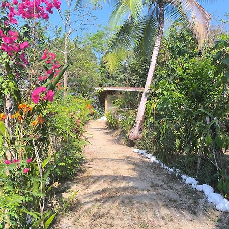 Casa Paraiso Manzanillo  Dış mekan fotoğraf