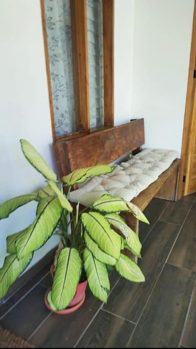 Casa Paraiso Manzanillo  Dış mekan fotoğraf