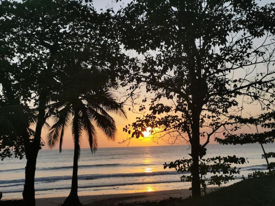 Casa Paraiso Manzanillo  Dış mekan fotoğraf